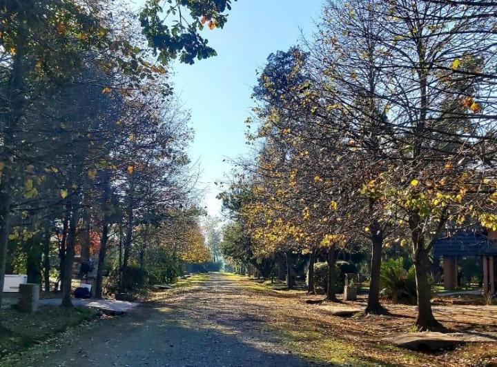 Terreno · 1000m²