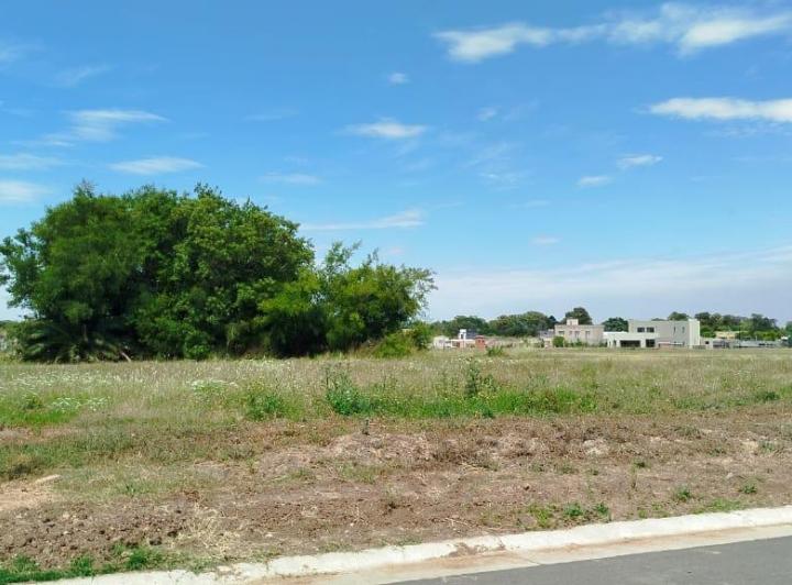 Terreno · 619m²