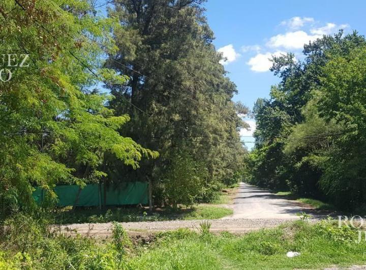 Terreno · 2500m²