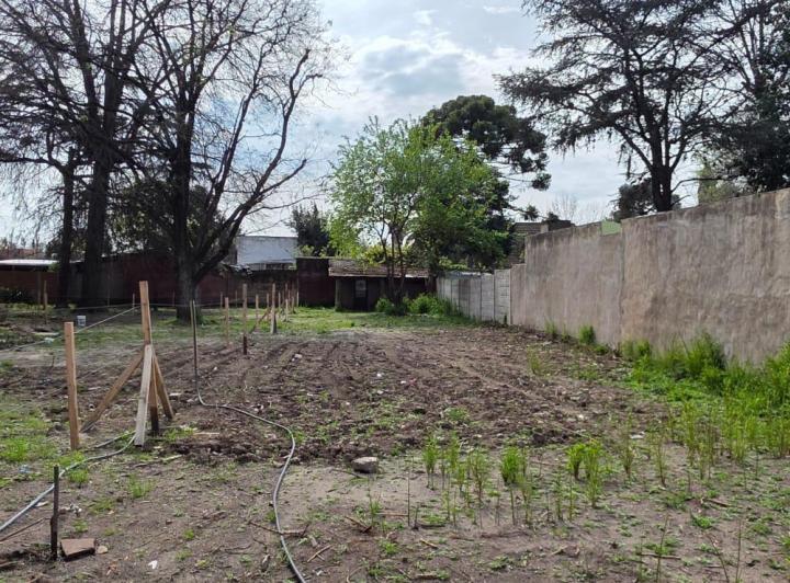 Terreno · 433m²