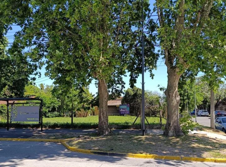 Terreno · 251m²