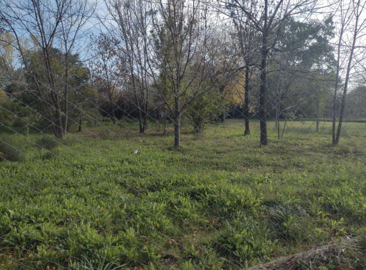 Terreno · 2775m²
