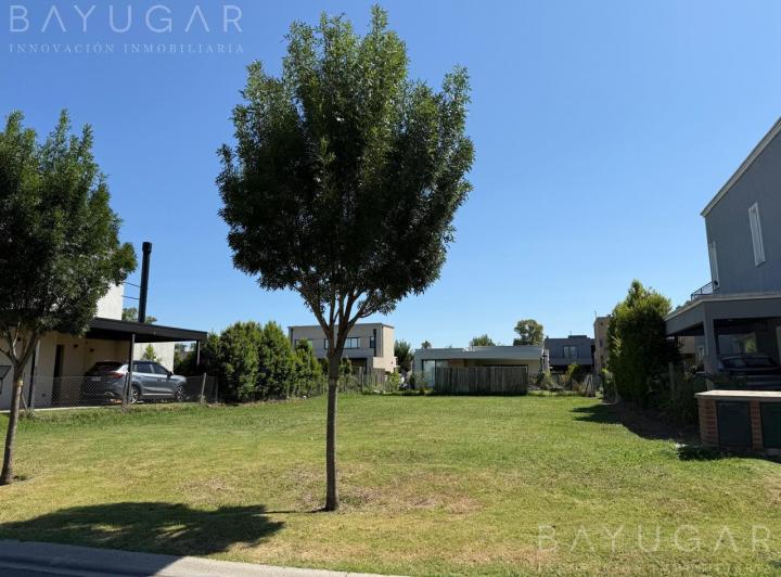 Terreno · 477m²