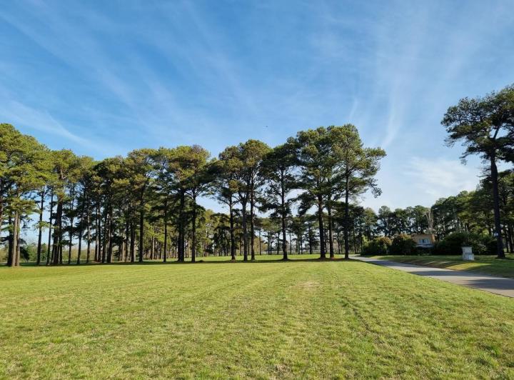 Terreno · 1500m²