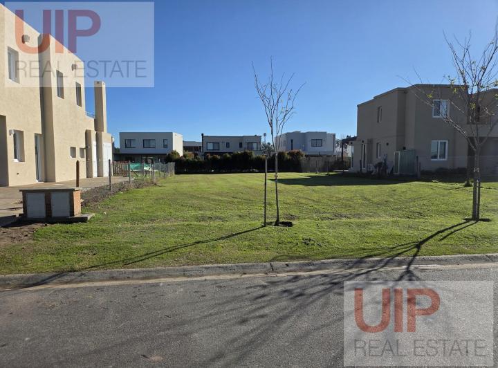 Terreno · 590m²