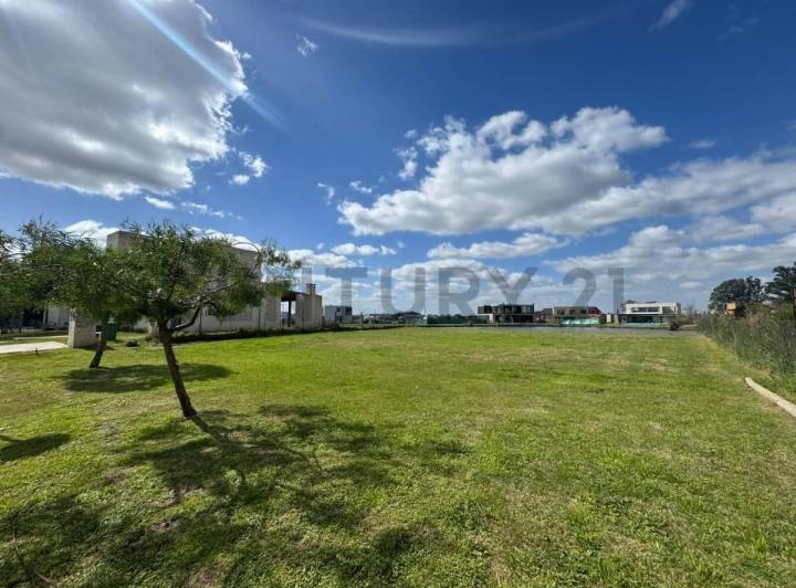 Terreno · 730m²