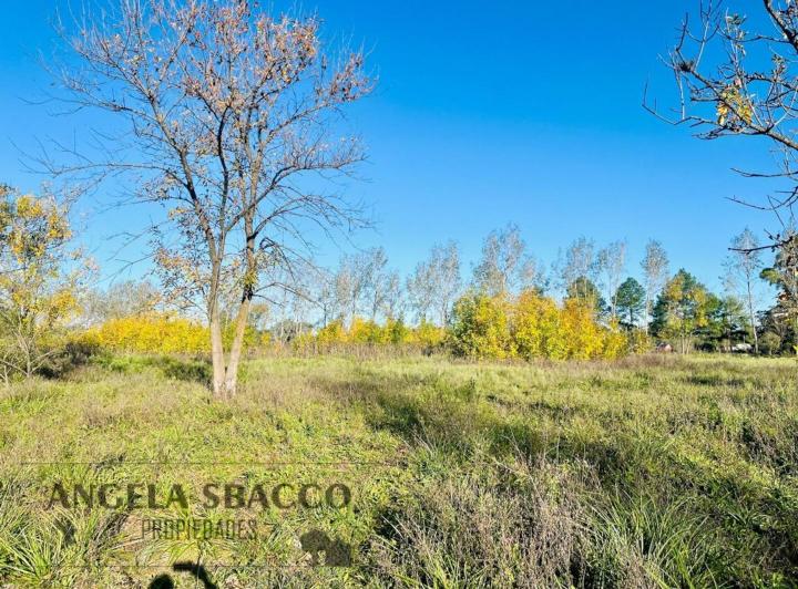 Terreno · 790m²