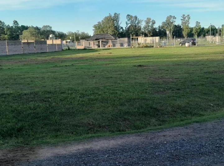 Terreno · 2050m²