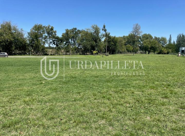 Terreno · 1508m²