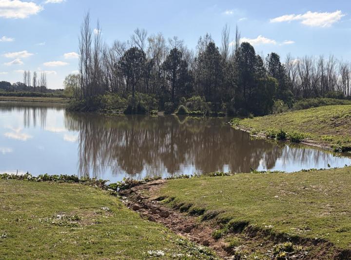 Terreno · 1008m²