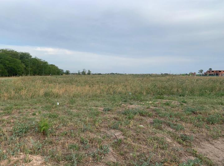Terreno · 370m²
