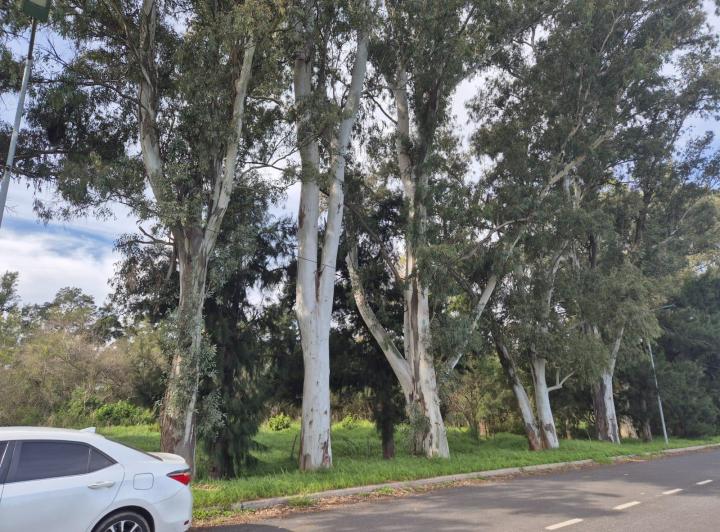 Terreno · 8414m²