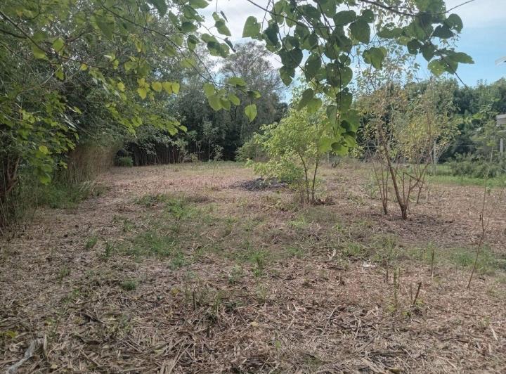 Terreno · 1033m²