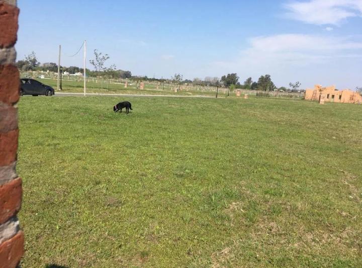 Terreno · 540m²