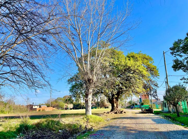 Terreno · 1750m²