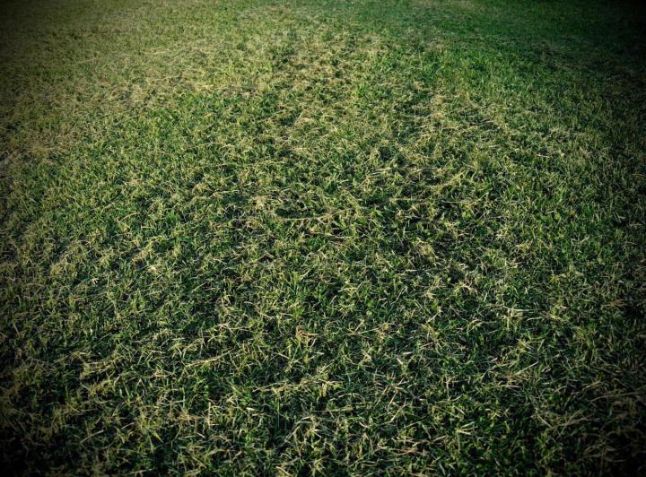 Terreno · 25000m²