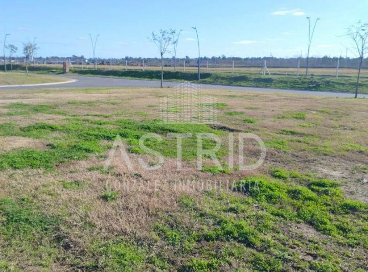 Terreno · 250m²
