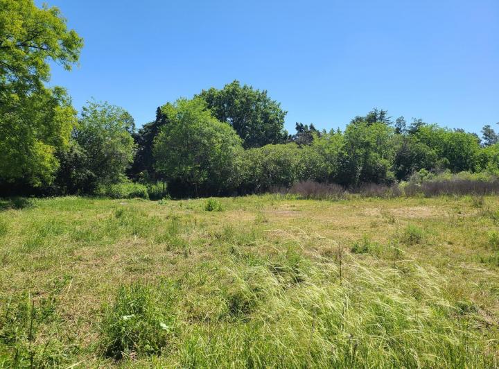 Terreno · 6219m²