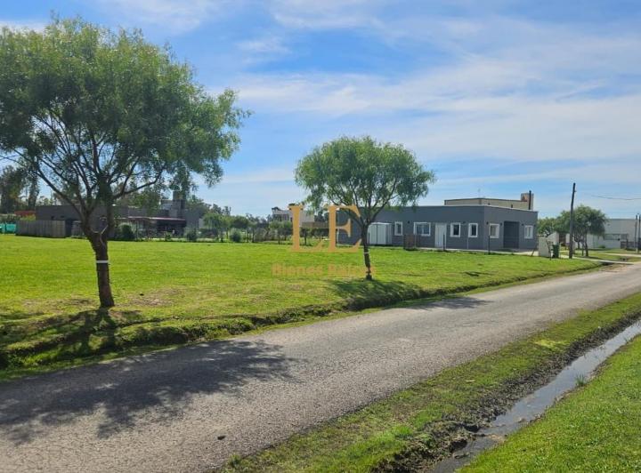 Terreno · 650m²