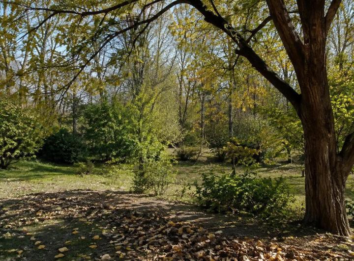 Terreno · 280000m²