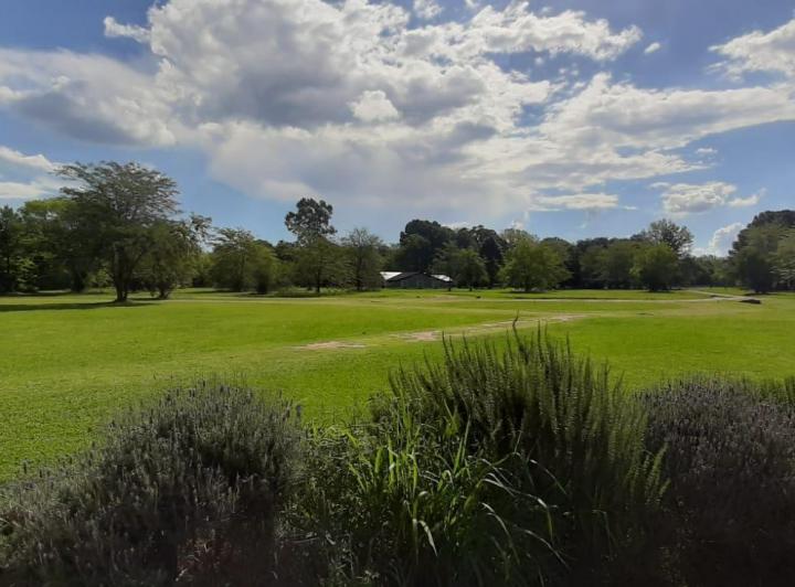 Terreno · 1500m²