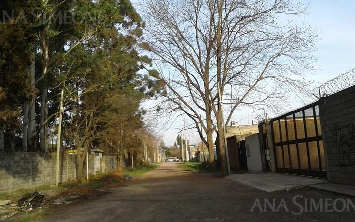 Terreno · 11000m²