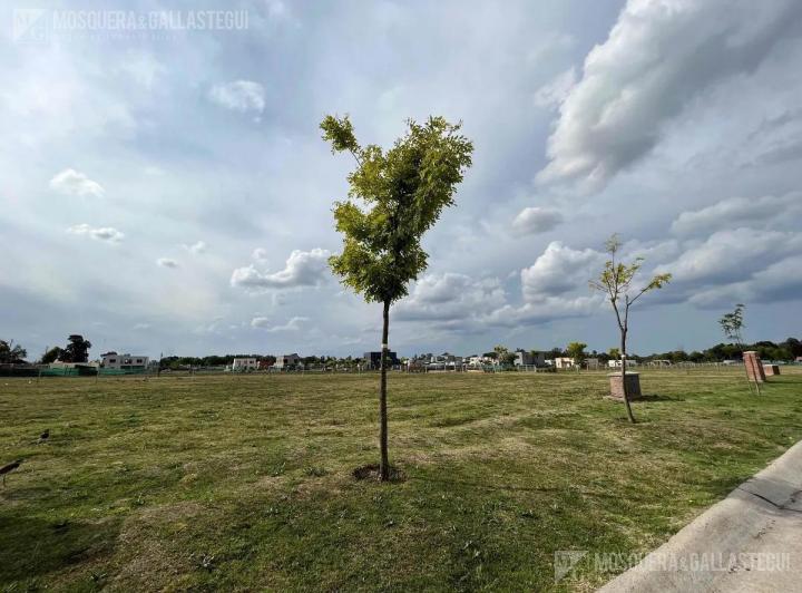 Terreno · 581m²
