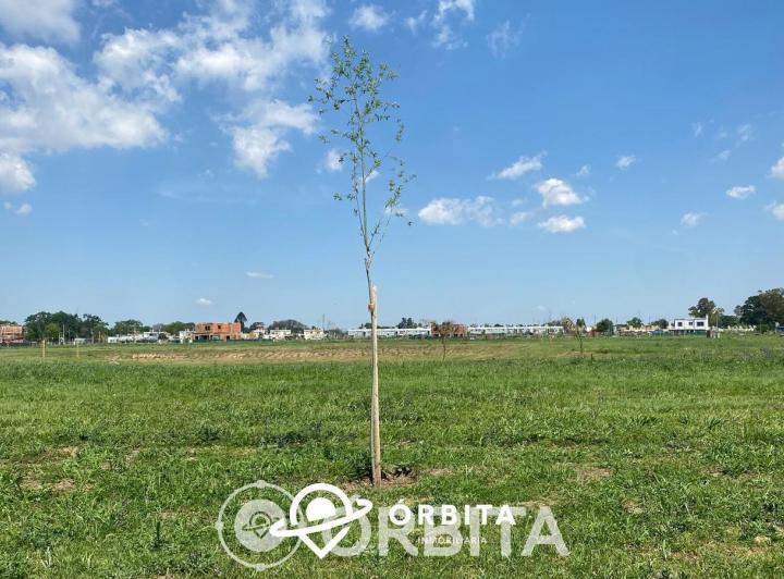 Terreno · 601m²