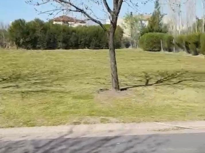 Terreno · 1000m²