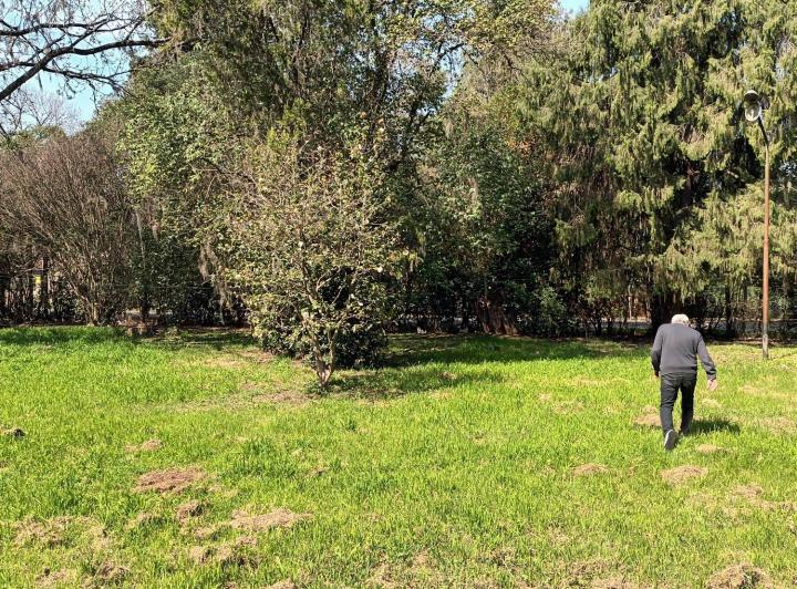 Terreno · 1m²