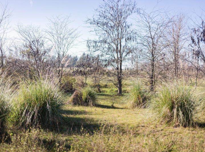 Terreno · 15m²
