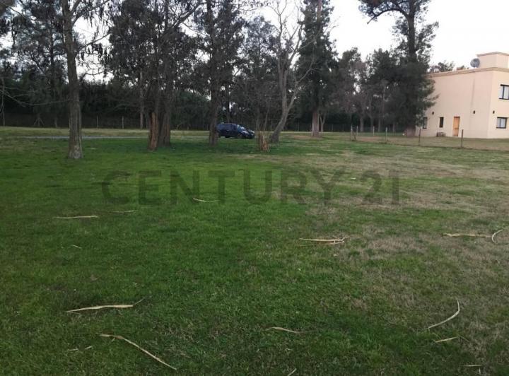 Terreno · 1132m²