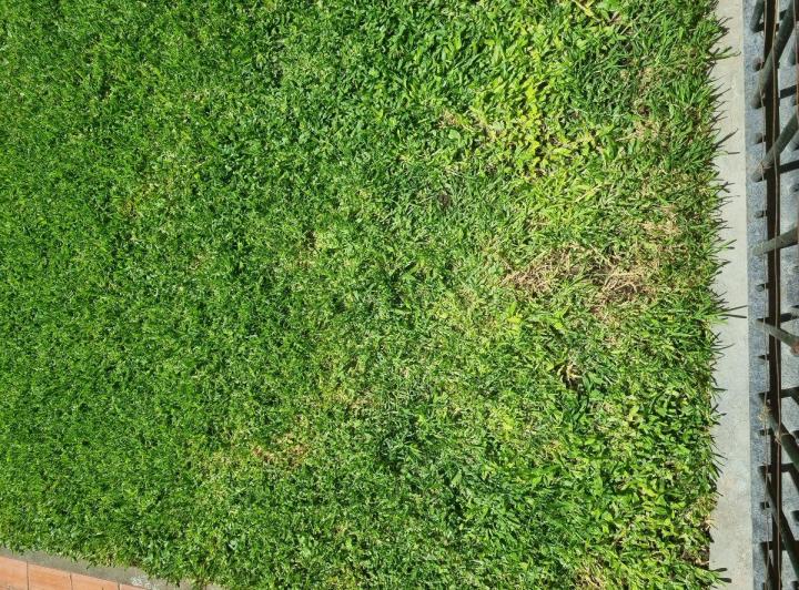 Terreno · 1m²