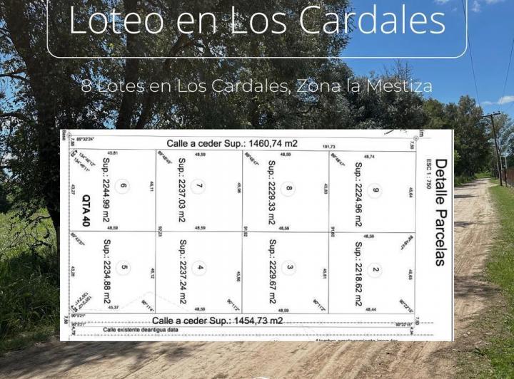 Terreno · 2300m²