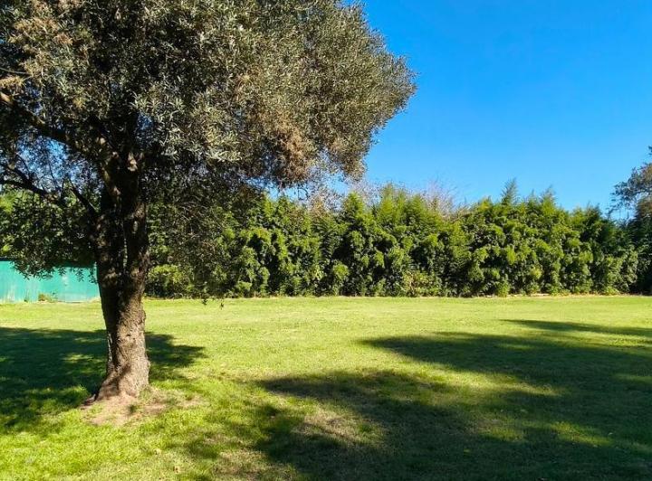 Terreno · 530m²