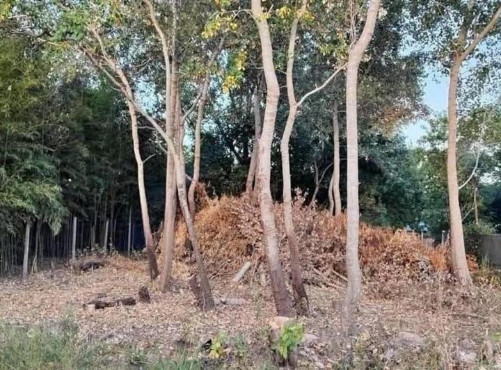 Terreno · 692m²