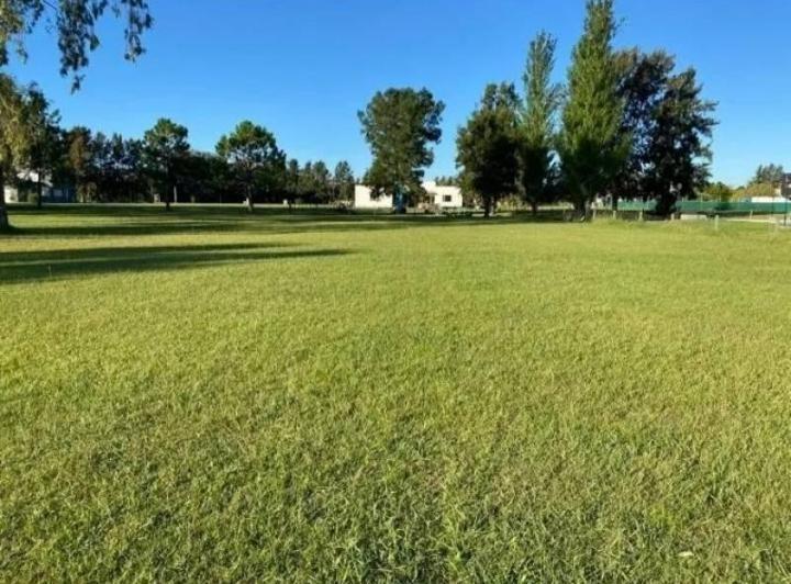 Terreno · 1492m²