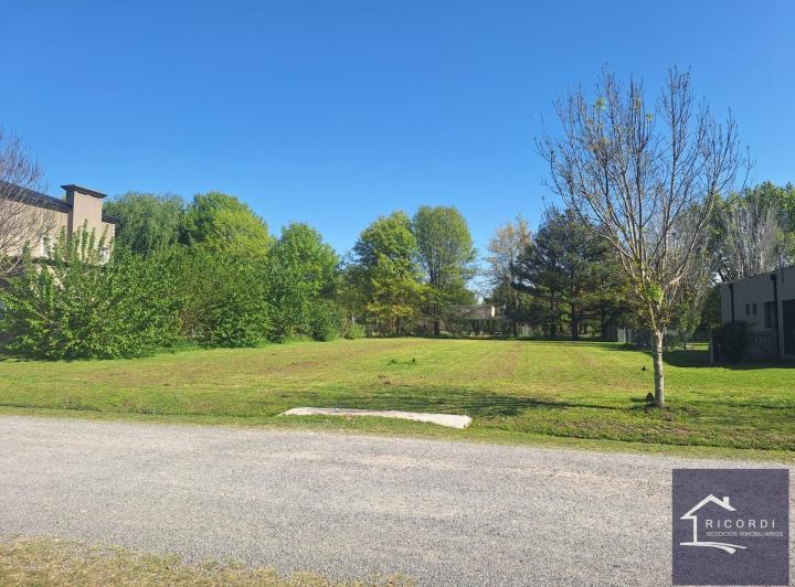 Terreno · 1500m²