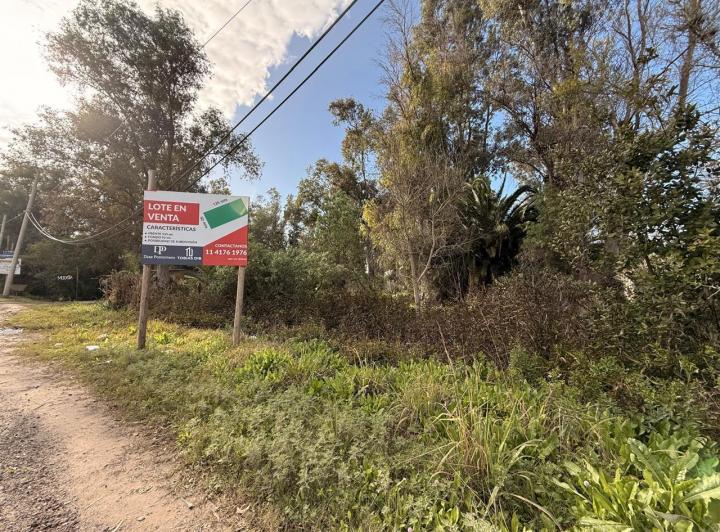 Terreno · 12000m²