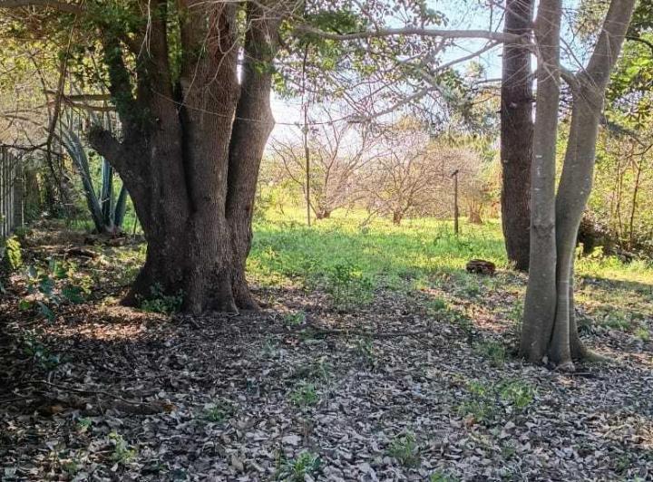 Terreno · 19000m²