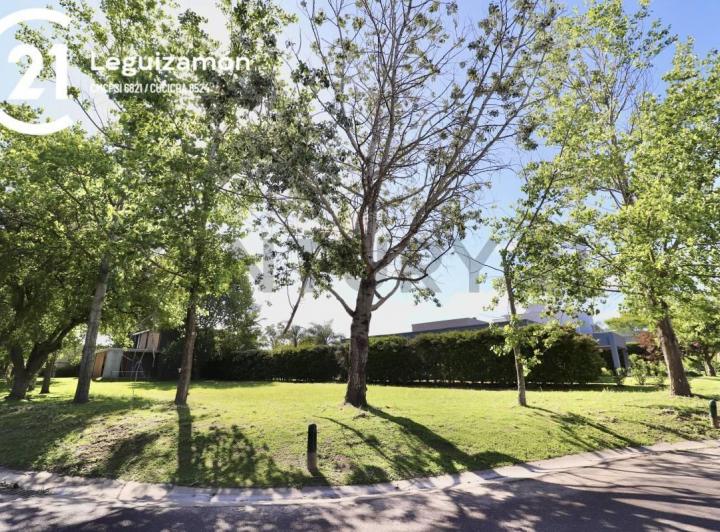 Terreno · 877m²