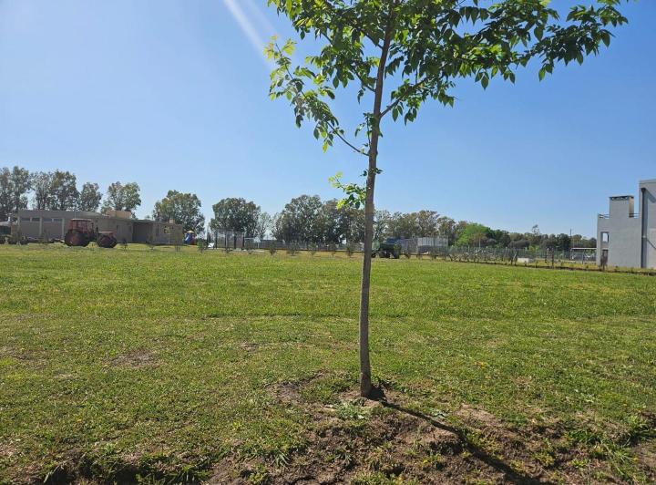 Terreno · 548m²