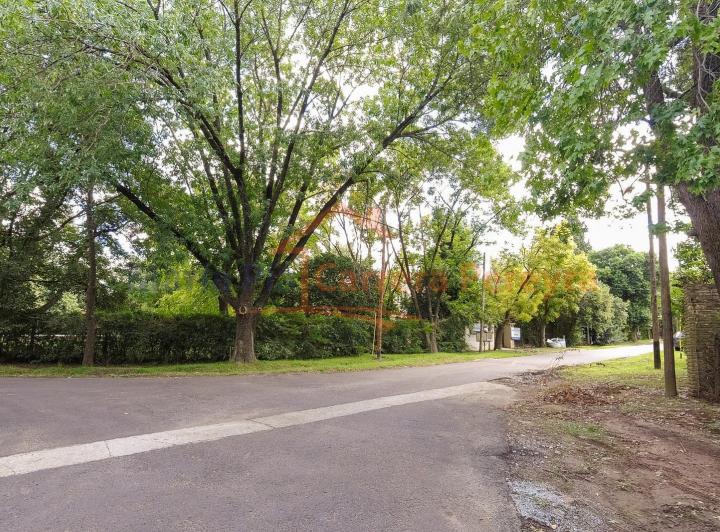 Terreno · 733m²