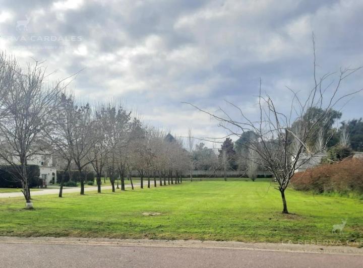Terreno · 966m²