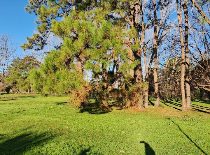 Terreno · 1500m²
