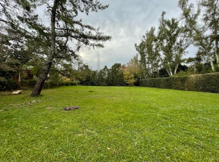 Terreno · 1000m²