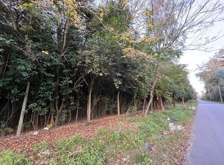 Terreno · 8685m²