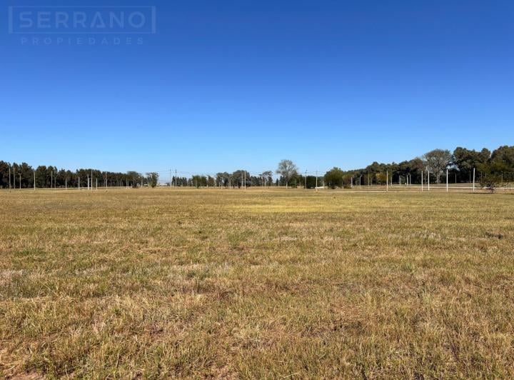 Terreno · 1000m²