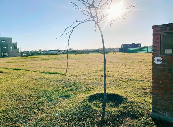 Terreno · 625m²