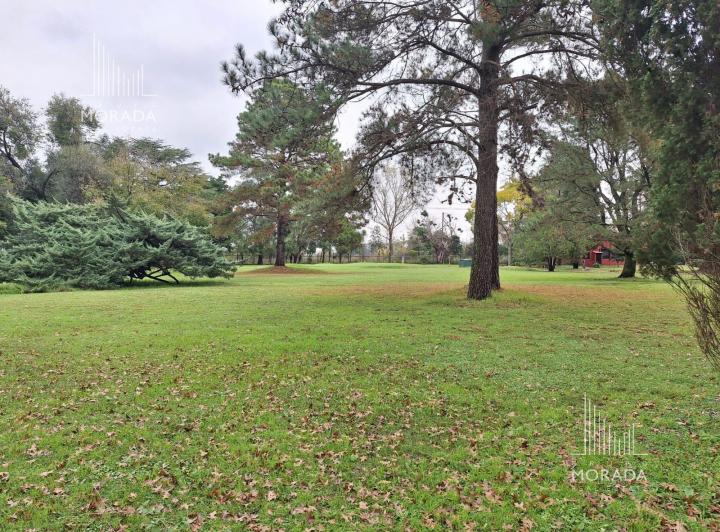 Terreno · 333m²